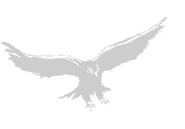 Hudson High &amp; St. Mary's Academy Class of 1968 Reunion